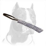 Superb Pitbull Dog Training Bite Tug