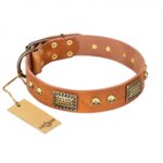 "Saucy Nature" FDT Artisan Tan Leather Pitbull Collar with Old Bronze Look Plates and Skulls