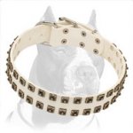 White Leather Pitbull Dog Collar with Square Nickel Studs