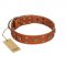 "Faraway Galaxy" FDT Artisan Tan Leather Pitbull Collar Adorned with Stars and Squares
