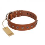 "Broadway" Handmade FDT Artisan Tan Leather Pitbull Collar with Dotted Pyramids