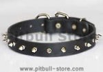 Puppy Spiked Dog Collar- 1 Row of spikes dog collar