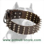 Extra Wide Pitbull Dog Collar with Spikes