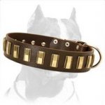 Handcrafted Leather Dog Collar For Pitbulls