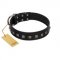 "Natural Beauty" Premium Quality FDT Artisan Black Designer Pitbull Collar with Dotted Studs
