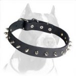 A New Fancy Leather Spiked Collar for Pitbull Breed