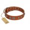 "Era Infinitum" FDT Artisan Tan Leather Pitbull Collar Adorned with Chrome-plated Circles