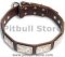 PITBULL Personalized Brown dog collar 19inch/19'' collar - c83