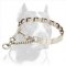 Extra Strong Pitbull Dog Neck Tech Prong Collar