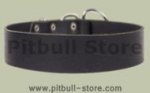 Pitbull 2 inch wide Leather Dog Collar for EVERYDAY