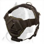 Pitbull Dog Nylon Harness for training