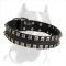Shiny Leather Pitbull Dog Collar Unususal Design