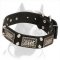 New Designer Durable Pitbull Dog Collar