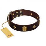 "Victory and Laurels" FDT Artisan Brown Leather Pitbull Collar with Ovals and Stars