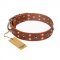'Silver Elegance' FDT Artisan Tan Leather Pitbull Collar with Old Silver-Likeed Studs and Cones 1 1/2 inch (40 mm) Wide Plat