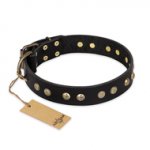 'Black Elegance' FDT Artisan Pitbull Leather Dog Collar with Round Studs