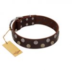 "Shadow Warrior" FDT Artisan Mystic Brown Leather Pitbull Collar with Runes