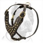 Pitbull Studded Walking dog harness