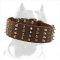 Pitbull Spiked & Studded Collar 2 1/4 inch (55 mm) wide