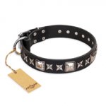 'Space Walk' FDT Artisan Black Leather Pitbull Dog Collar with Adornments