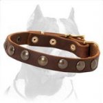 Leather Collar with Brass Studs