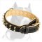 Attractive Leather Collar with 2 Rows of Shiny Brass Spikes for Pitbull