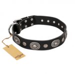 'Black Tie' FDT Artisan Leather Pitbull Collar with Old Silver-like Decorations - 1 1/2 inch (40 mm) wide