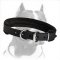 Pitbull Dog Comfortable Leather Collar with felt Padding