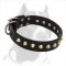 'Mighty King' Pitbull Dog Collar