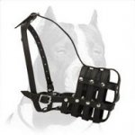 Super Ventilated Leather Muzzle for Pitbull