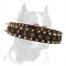 Pitbull Dog Leather Collar with Spikes and Studs
