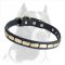 A Marvellous Leather Collar with Brass Plates for Pitbull Breed