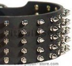 3 inch Spiked Leather Dog Collar for Pitbull