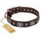 'Extra Pizzazz' FDT Artisan Adorned Brown Leather Pitbull Collar