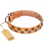"Precious Sparkle" FDT Artisan Handcrafted Tan Leather Pitbull Collar