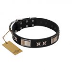 "Pitch Dark" FDT Artisan Black Leather Pitbull Collar with Stars and Plates