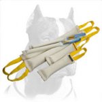 Big Pitbull Training Set of Ultra-Strong Fire Hose Bite Tugs