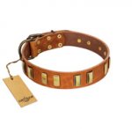 "Olive Slice" FDT Artisan Tan Leather Pitbull Collar with Engraved and Smooth Plates