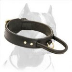 2 Ply Leather Agitation Dog Collar With Handle for Pitbulls