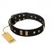 "Fit for Royalty" FDT Artisan Black Leather Pitbull Collar with Plates and Small Square Studs