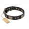 'Jewel Passion' FDT Artisan Fashionable Black Leather Pitbull Dog Collar