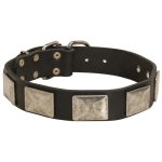 Handcrafted Leather Dog Collar With Vintage Massive Plates