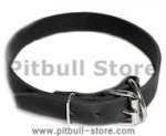 Leather Field Collar for Pitbull