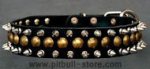 Studded (1 row) and Spiked (2 rows) Leather Dog Collar