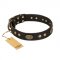 "Perfect Tracery" FDT Artisan Black Leather Pitbull Collar with Old Bronze Look Plates and Circles