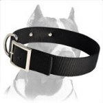 2 Ply Nylon Dog Collar with name plate for identification