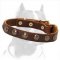 Leather Collar with Brass Studs