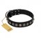 "Black Eagle" Handcrafted FDT Artisan Black Leather Pitbull Collar with Silver-Like Adornments