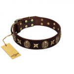 "Captain Hook" FDT Artisan Brown Leather Pitbull Collar with Stars and Skulls