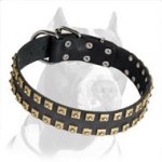 Handcrafted Pitbull Dog Collar Leather - Plus - Studs